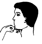 Упражнение Б